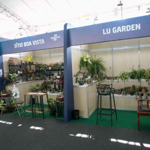 WhatsApp Image 2026-01-05 at 12.47.45